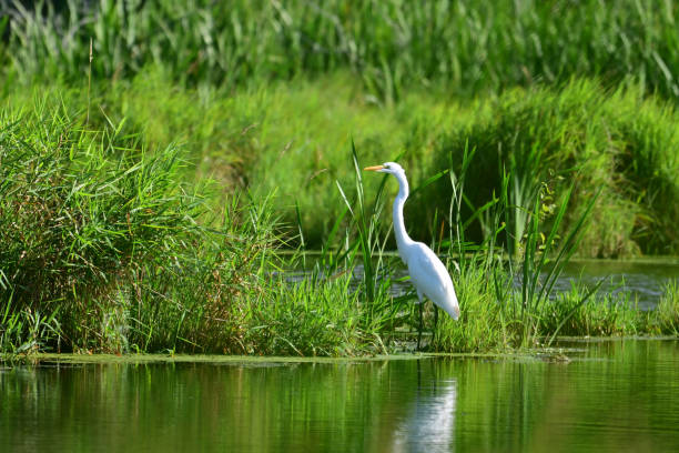Environnement et territoire