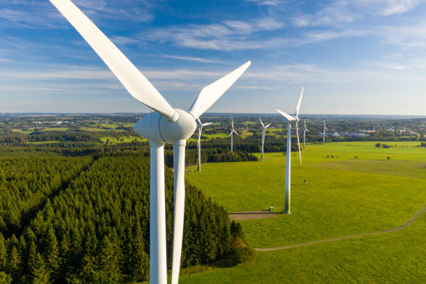 Paysage et environnement