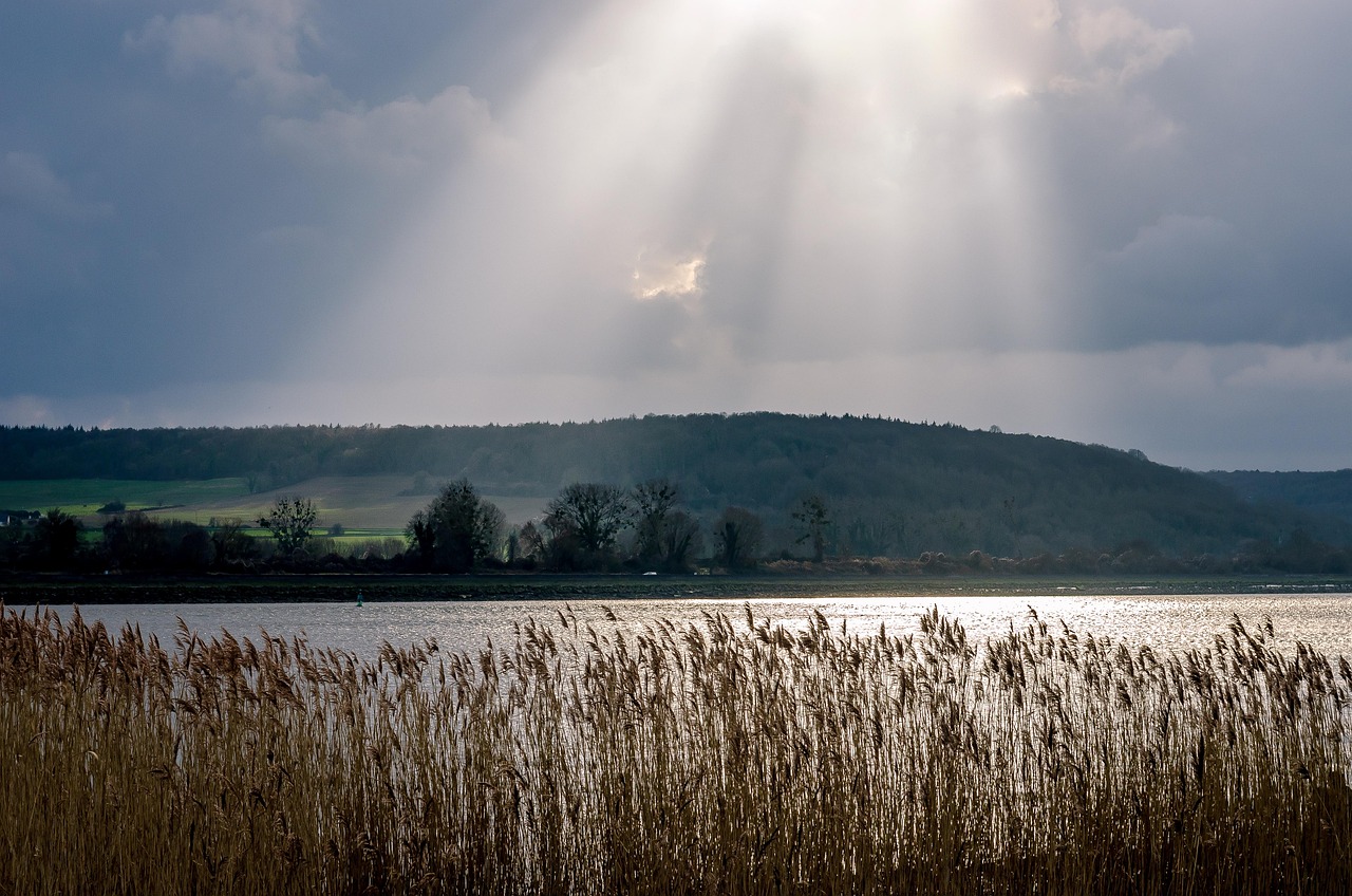 Paysage naturel